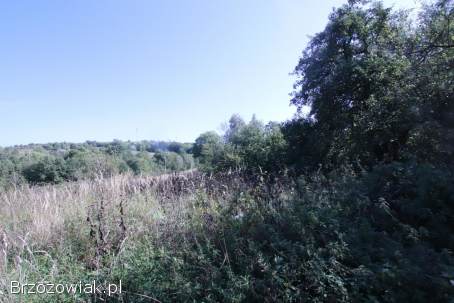 BIURO KROŚNIEŃSKIE NIERUCHOMOŚCI POLECA