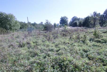 BIURO KROŚNIEŃSKIE NIERUCHOMOŚCI POLECA