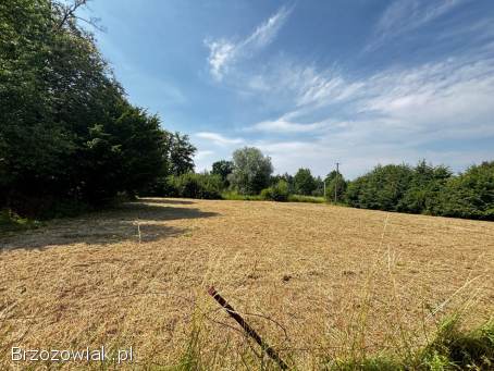 BIURO KROŚNIEŃSKIE NIERUCHOMOŚCI POLECA