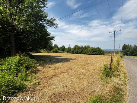 BIURO KROŚNIEŃSKIE NIERUCHOMOŚCI POLECA