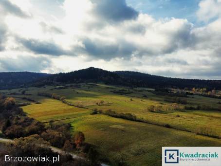 Działka w Jaśliskach