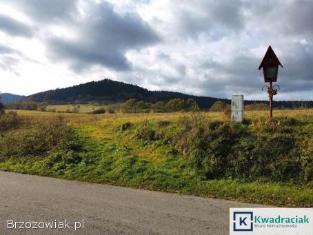 Działka w Jaśliskach