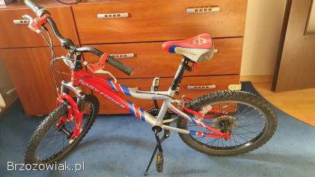 Rower Gary Fisher 20