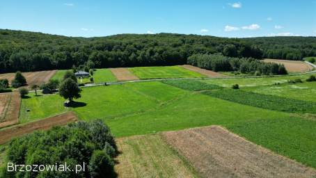 BIURO KROŚNIEŃSKIE NIERUCHOMOŚCI POLECA