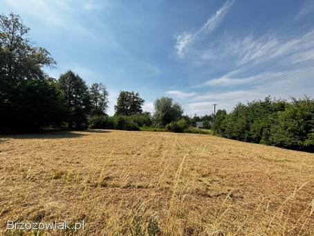 BIURO KROŚNIEŃSKIE NIERUCHOMOŚCI POLECA