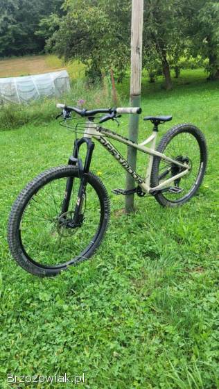 Rower hardtail enduro Dartmoor Primal Pro 29 2020
