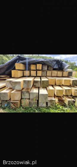 Drzewo -  Jodła 1 Klasa