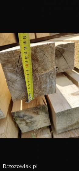 Drzewo -  Jodła 1 Klasa