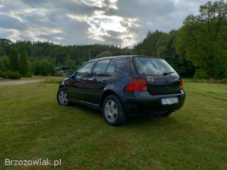 Volkswagen Golf IV 1999