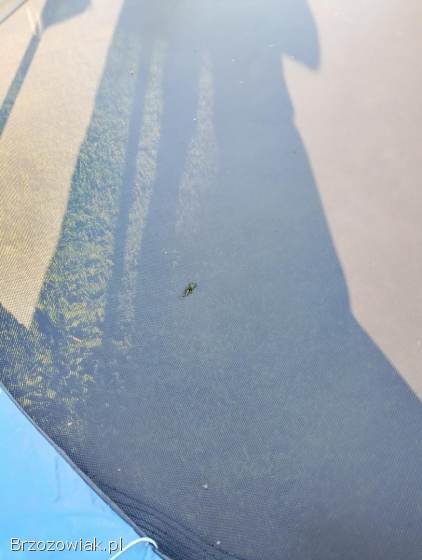 Trampolina duża 400