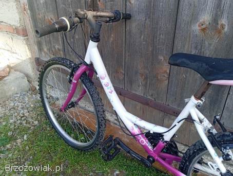 Rowerek dla dziewczynki