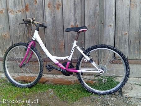 Rowerek dla dziewczynki