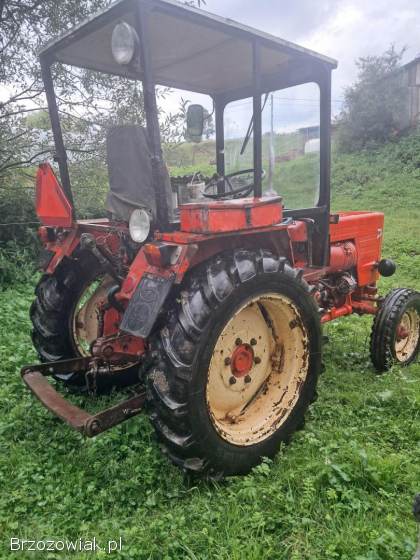 Sprzedam władymirca