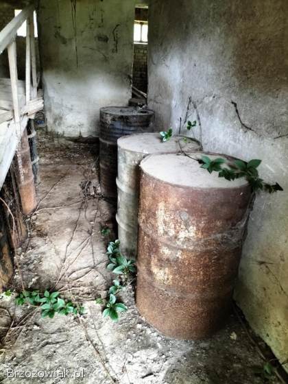 Abizol lepik na zimno