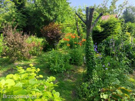 Działka rekreacyjna wypoczynkowa na sprzedaż „ROD Kalina” Sanok