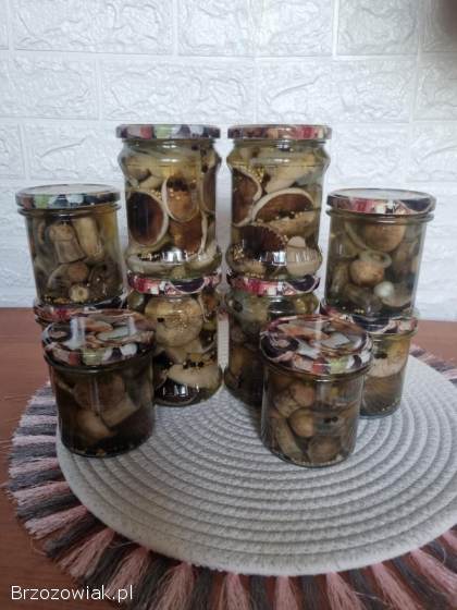 Grzyby Borowik maślak podgrzybek 2025