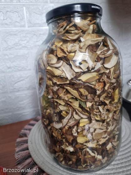 Grzyby Borowik maślak podgrzybek 2025