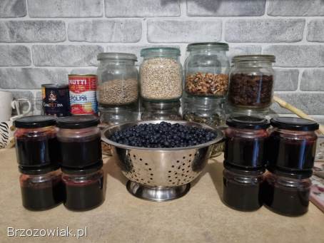 Grzyby Borowik maślak podgrzybek 2025