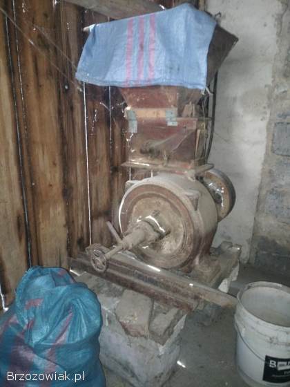 Śrutownik do zboża