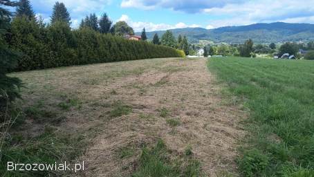 Działka 20 a Zagórz Graniczna warunki zabudowy uzbrojona