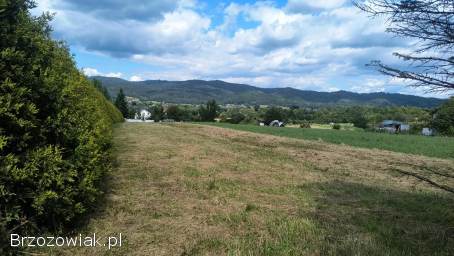 Działka 20 a Zagórz Graniczna warunki zabudowy uzbrojona