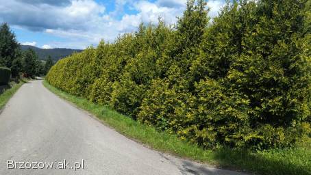 Działka 20 a Zagórz Graniczna warunki zabudowy uzbrojona