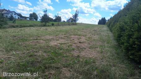 Działka 20 a Zagórz Graniczna warunki zabudowy uzbrojona