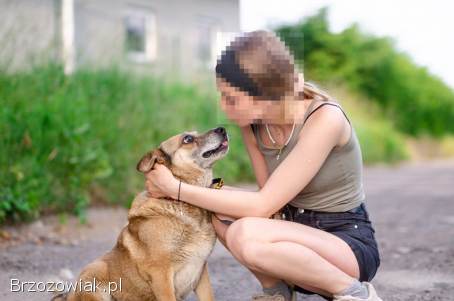 Tores -  łagodny,  przyjazny psiaczek za kratami,  pomocy!