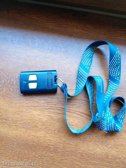 Znalazłem smycz z pilotem