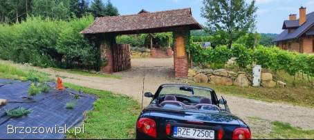 Renault Megane Cabrio 2002