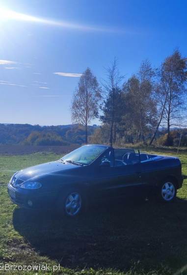 Renault Megane Cabrio 2002