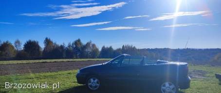 Renault Megane Cabrio 2002