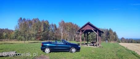 Renault Megane Cabrio 2002