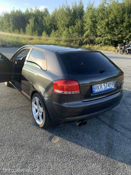 Audi A3 8p 2004
