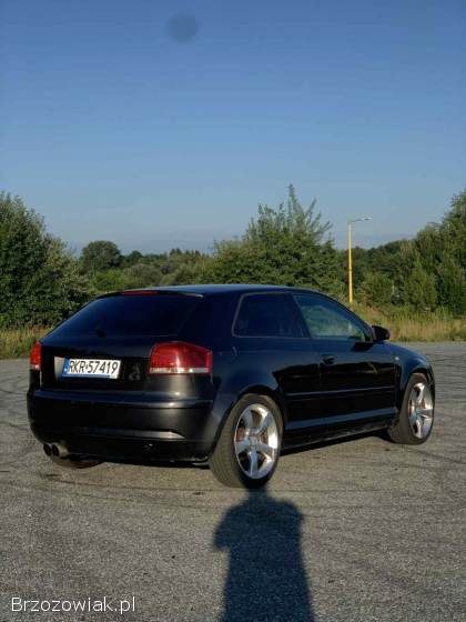 Audi A3 8p 2004