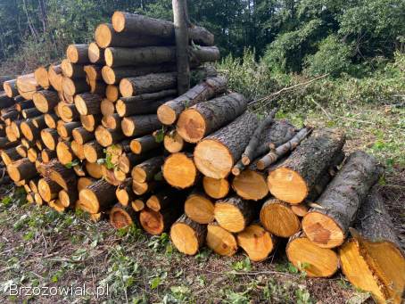 Drzewo opałowe tanio