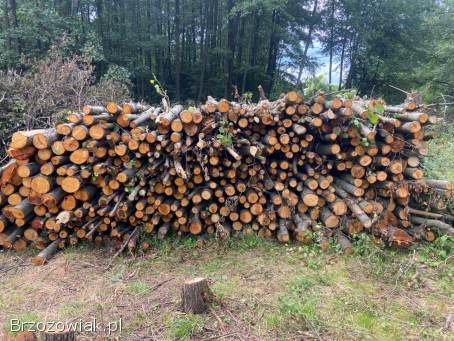 Drzewo opałowe tanio