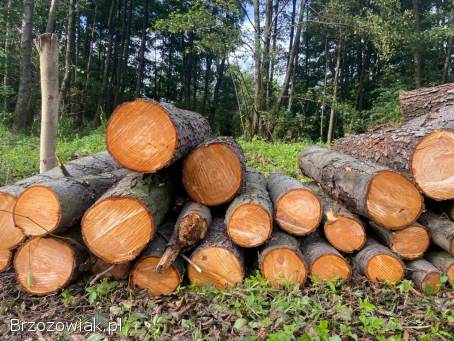 Drzewo opałowe tanio