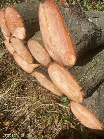 Drzewo opałowe tanio