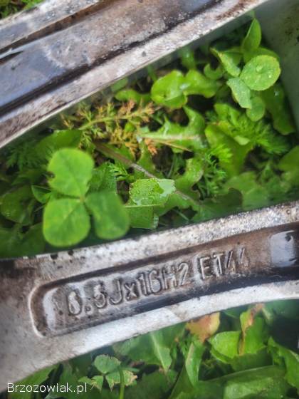 Felgi z oponami Volvo 16