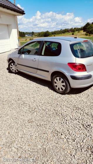 Peugeot 307 2004