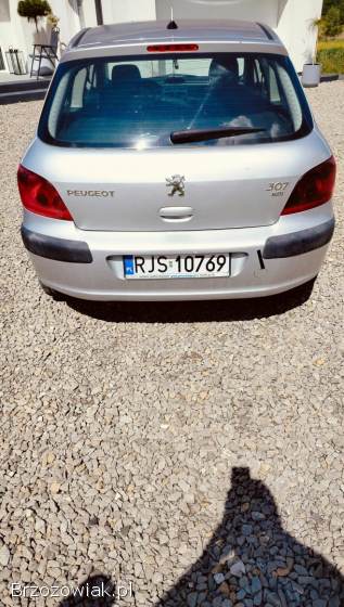 Peugeot 307 2004