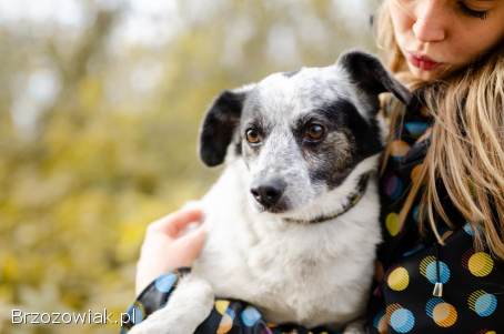 Alvin -  3 tysiące dni w schronisku,  POMOCY!