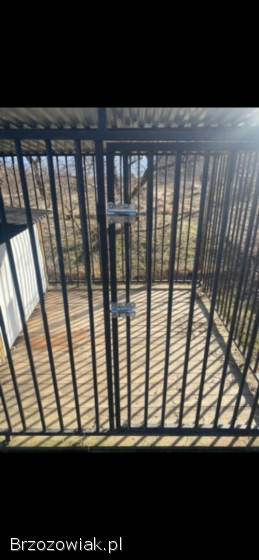 Kojec 3x2 z deskowaniem