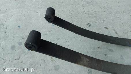 ŻUK PIÓRO GŁÓWNE. . .