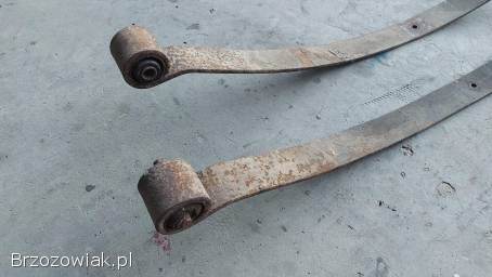 ŻUK PIÓRO GŁÓWNE. . .