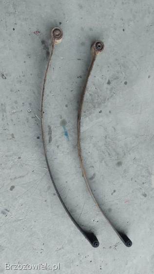 ŻUK PIÓRO GŁÓWNE. . .