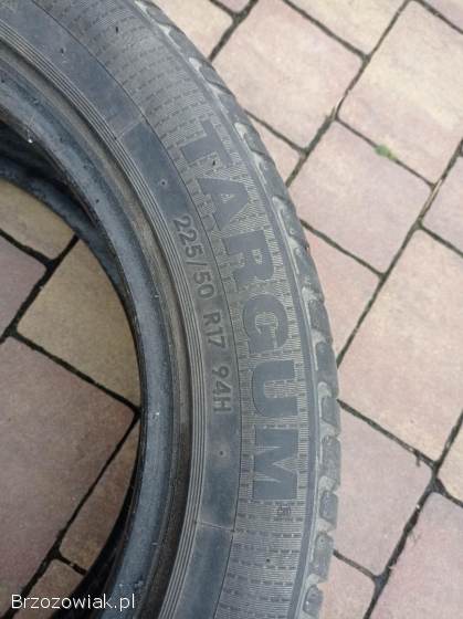 Opony 225/50/17 i 205/55/16