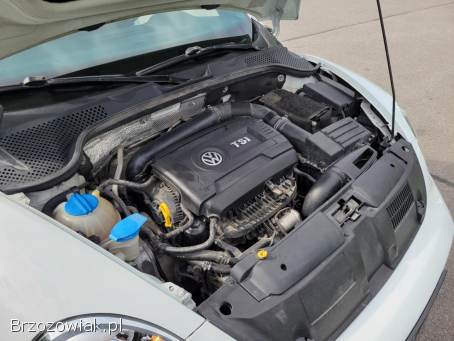 Volkswagen Beetle 2015