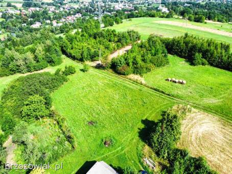 Działka na wzgórzu w Rogach